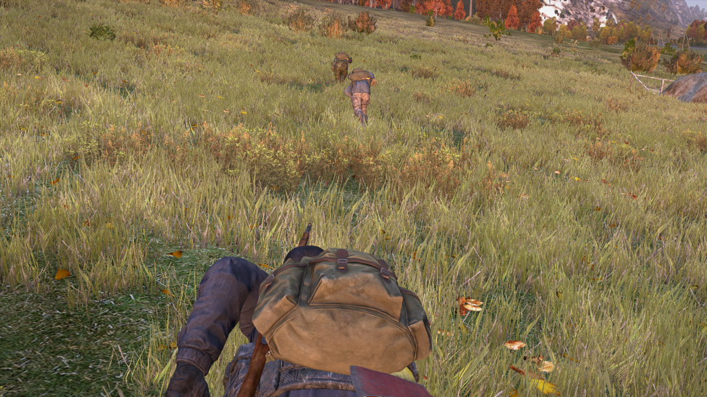 DayZ2013-12-2619-15-27-497.png