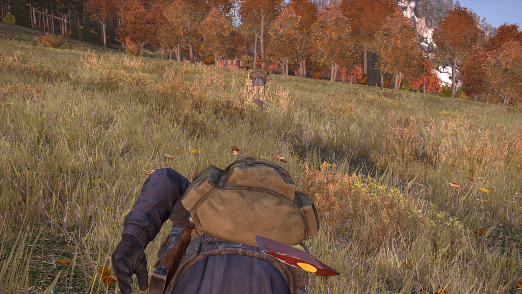 DayZ2013-12-2619-15-39-231.png