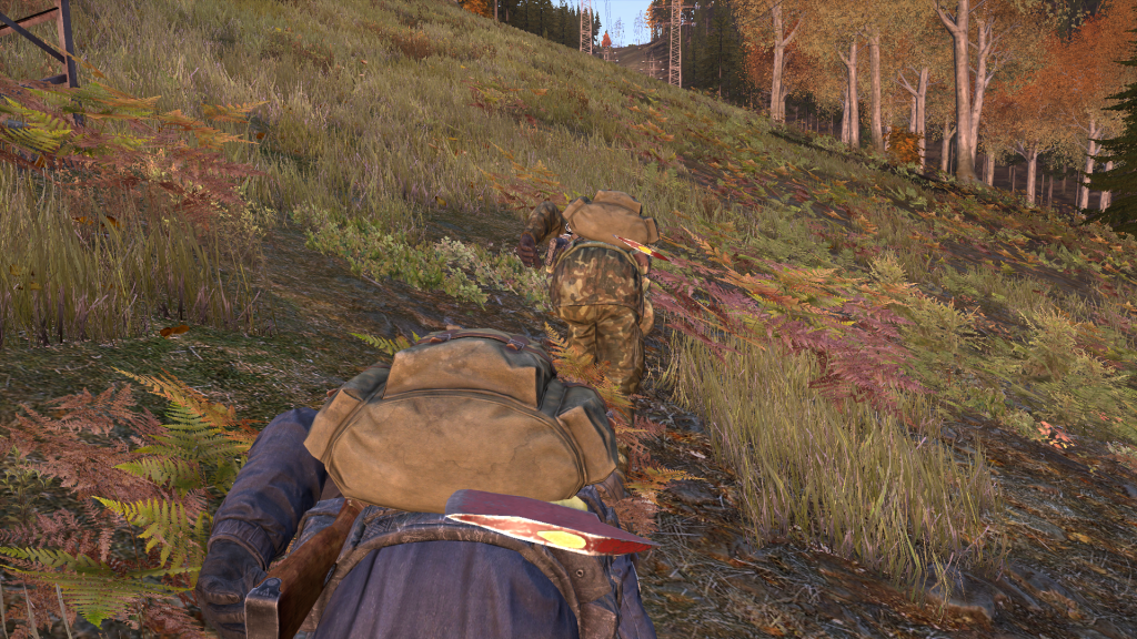 DayZ2013-12-2619-16-43-413.png