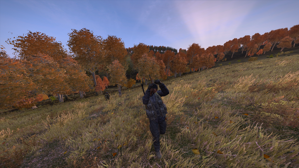 DayZ2013-12-2619-20-44-575.png