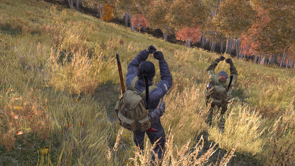 DayZ2013-12-2619-22-07-502.png