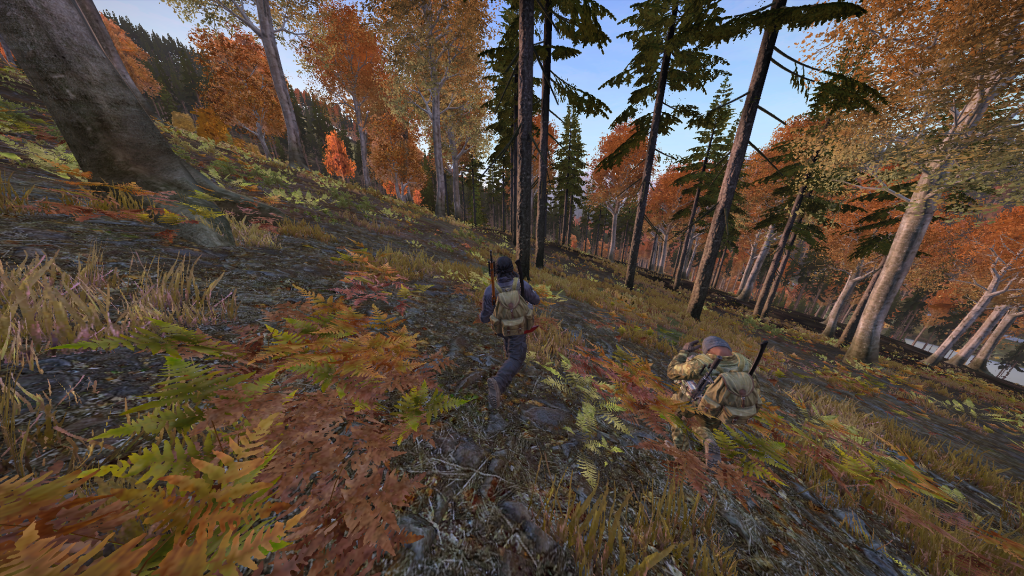 DayZ2013-12-2619-22-36-408.png