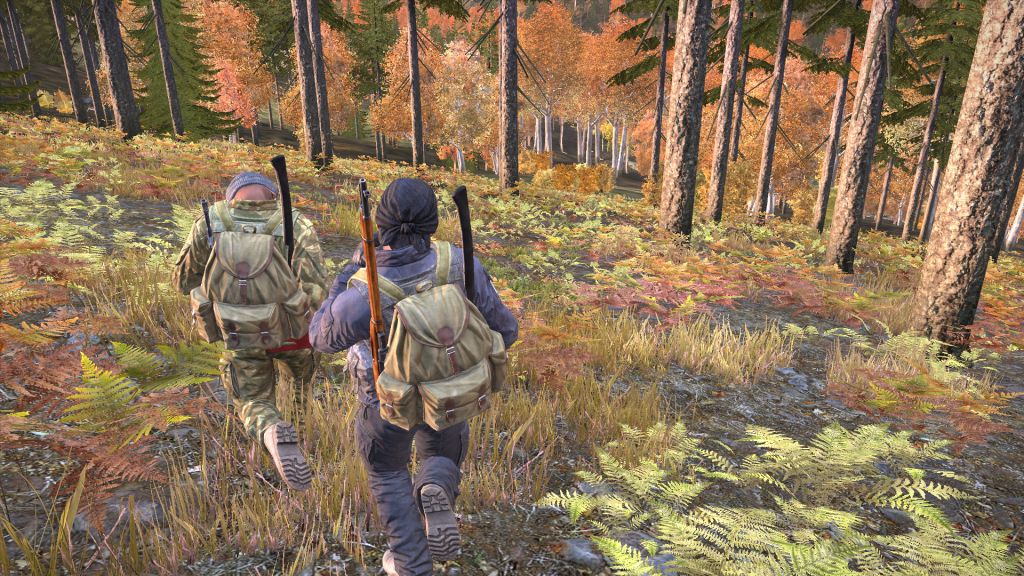 DayZ2013-12-2619-22-50-736.png