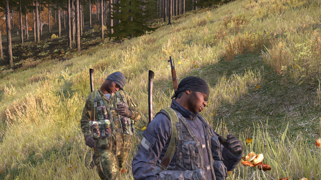 DayZ2013-12-2619-23-14-186.png