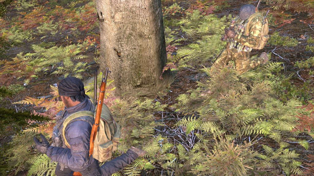 DayZ2013-12-2619-23-33-349.png