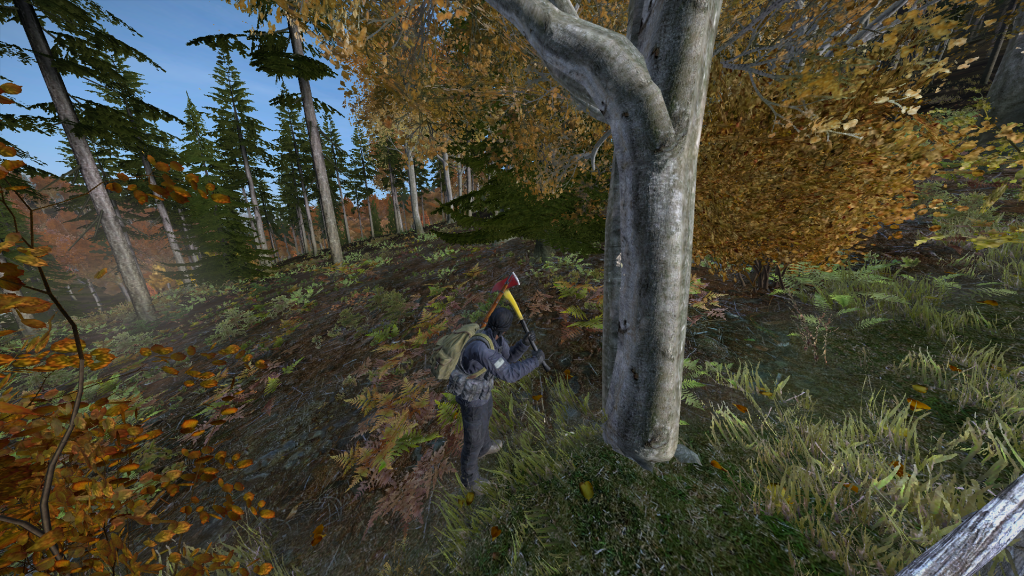 DayZ2013-12-2619-26-05-351.png