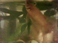 aac0bffb-0464-4d2a-8287-cd1d71721919.jpg?t=1407705525