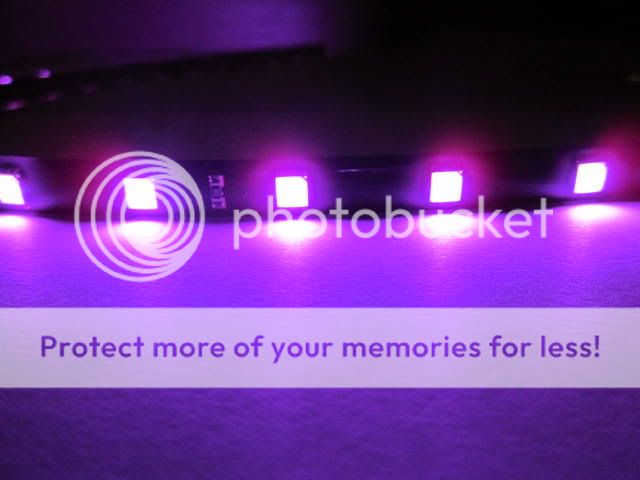 30cm Car 5050 SMD Led Strip Light Super Bright Purple LP19  