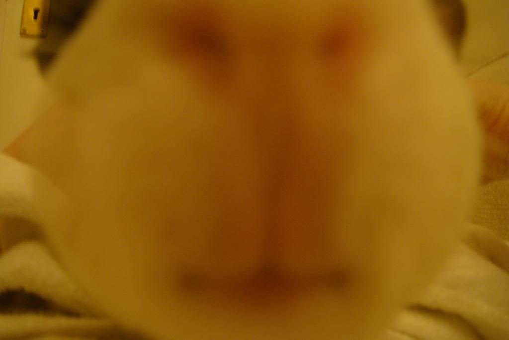 DSC06609.jpg