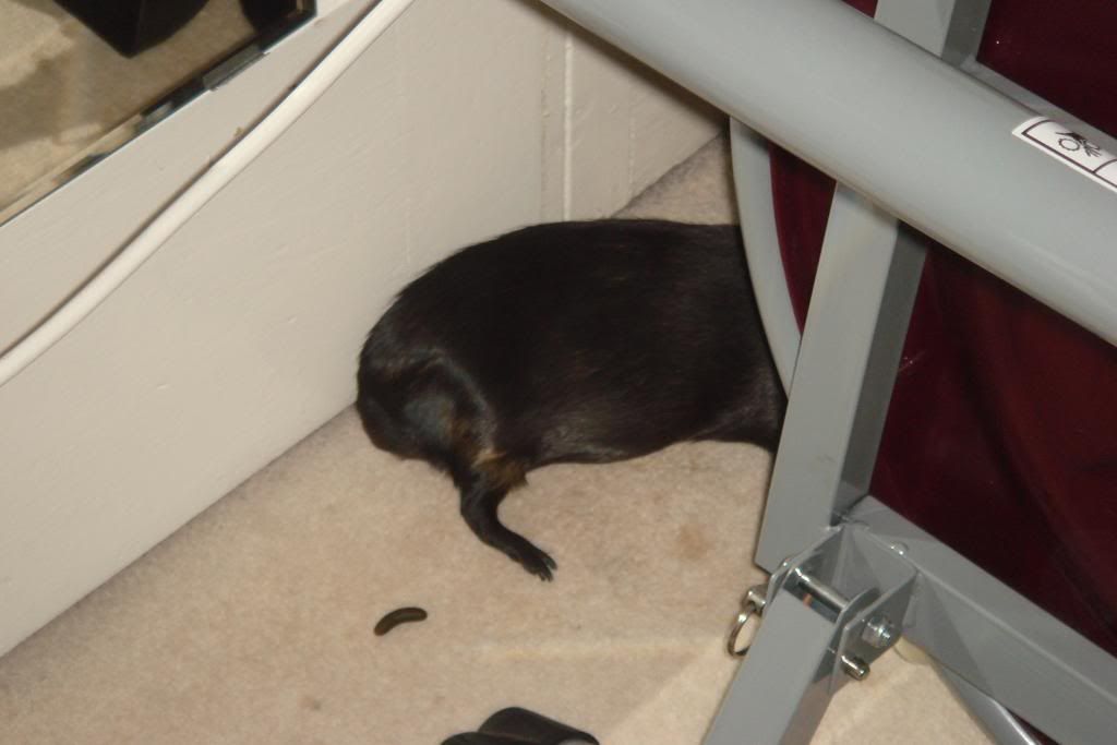 DSC08000.jpg