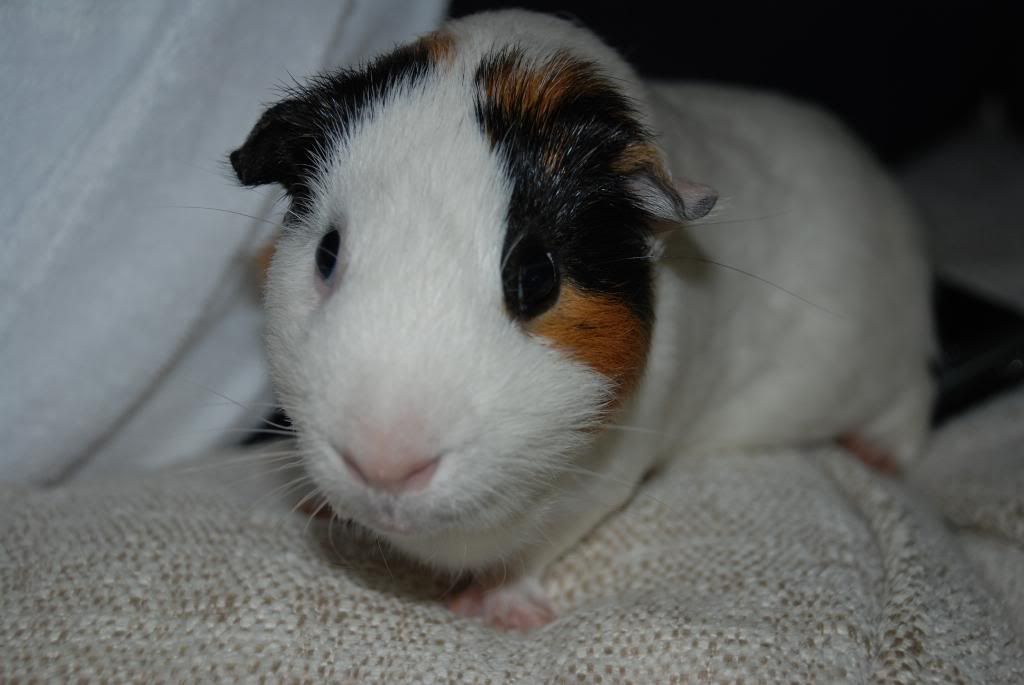 DSC_4682.jpg