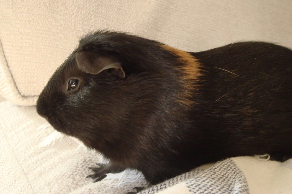 DSC07702.jpg