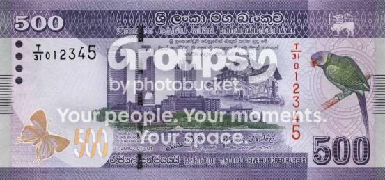 5002.jpg