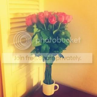 Photobucket Pictures, Images and Photos