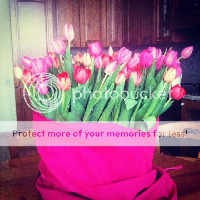 Photobucket Pictures, Images and Photos