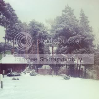 Photobucket Pictures, Images and Photos