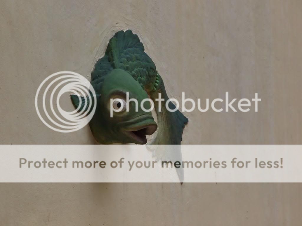 这鲤鱼装饰叫「吐水」,用以把屋顶收集的雨水於鱼咀排出